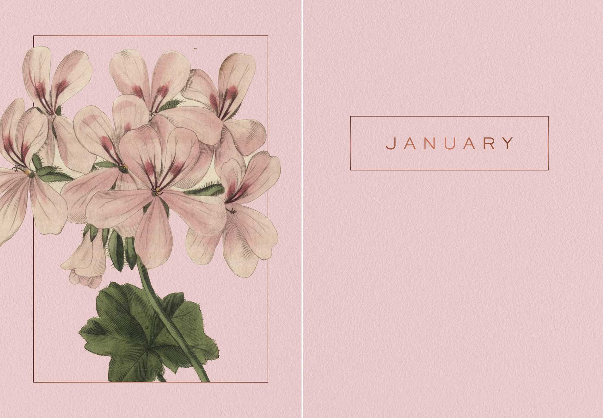 A Year of Flowers A Journal of Daily Wisdom - Image 2