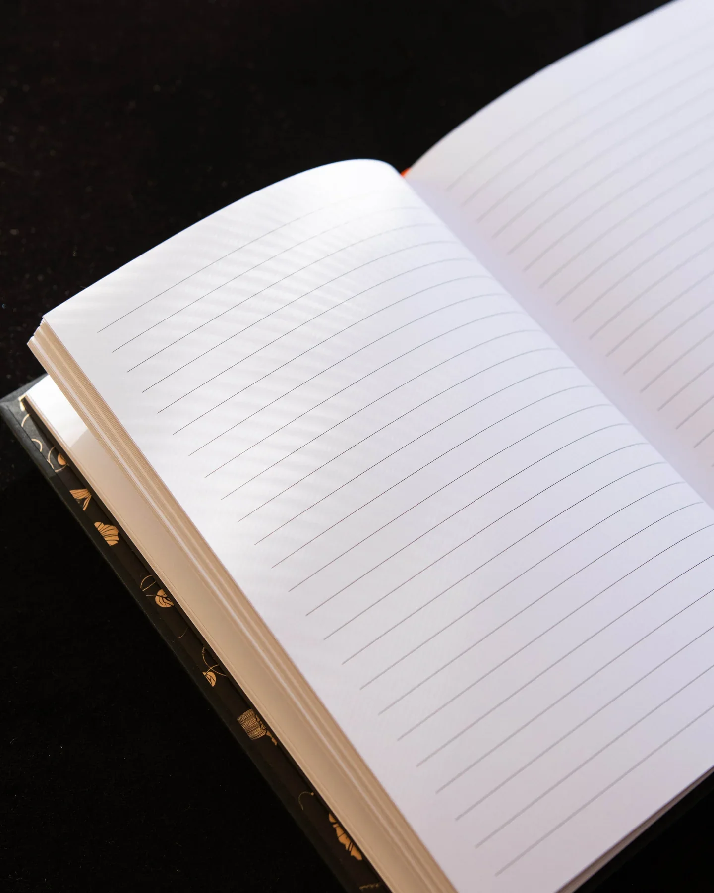 Constellations Journal - - Image 4