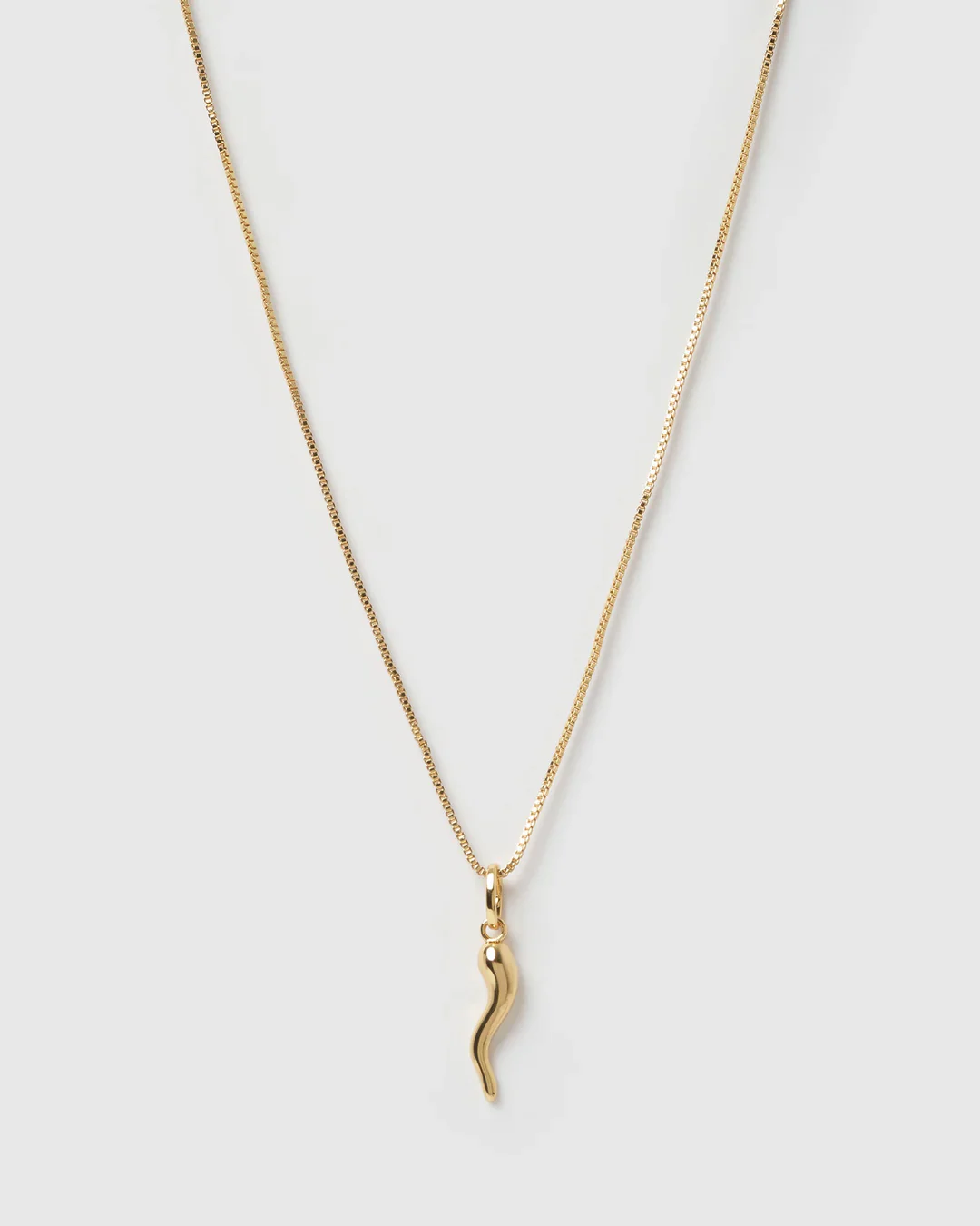 Cornicello Gold Charm Necklace