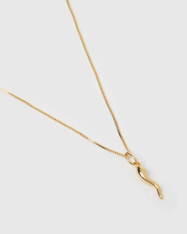 Cornicello Gold Charm Necklace - Image 4