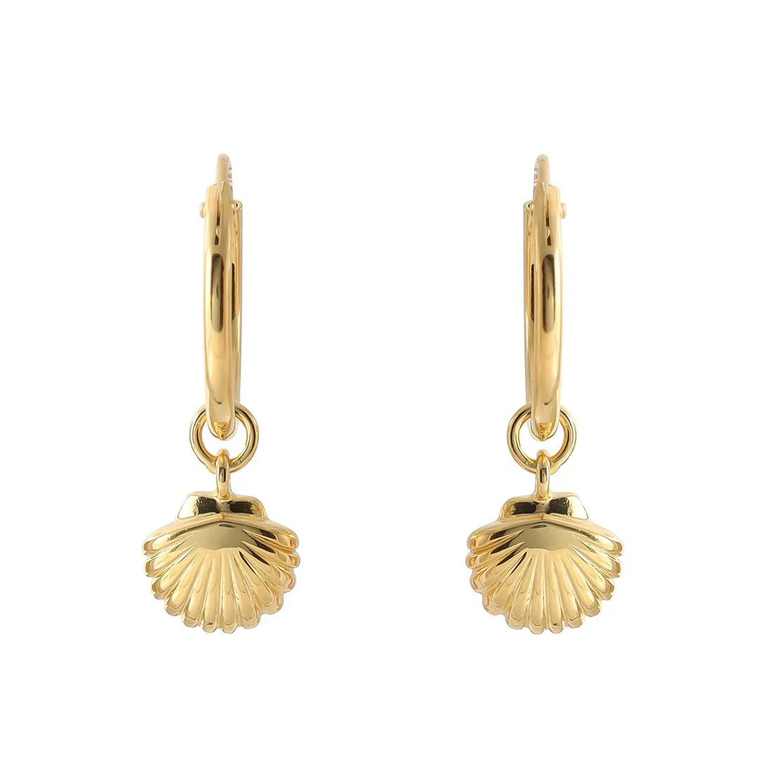Gold Seashell Sleepers
