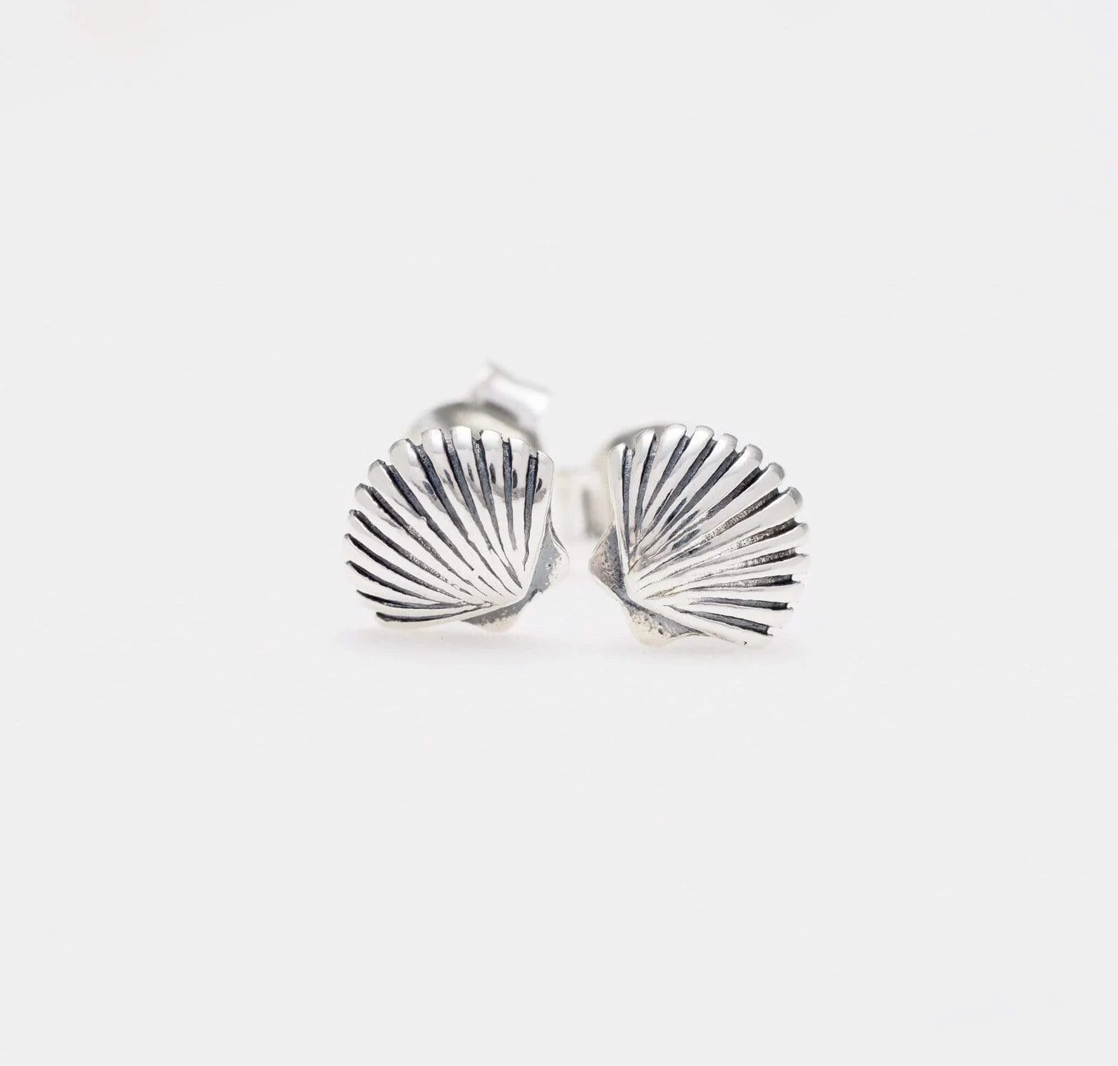 Dainty Seashell Studs