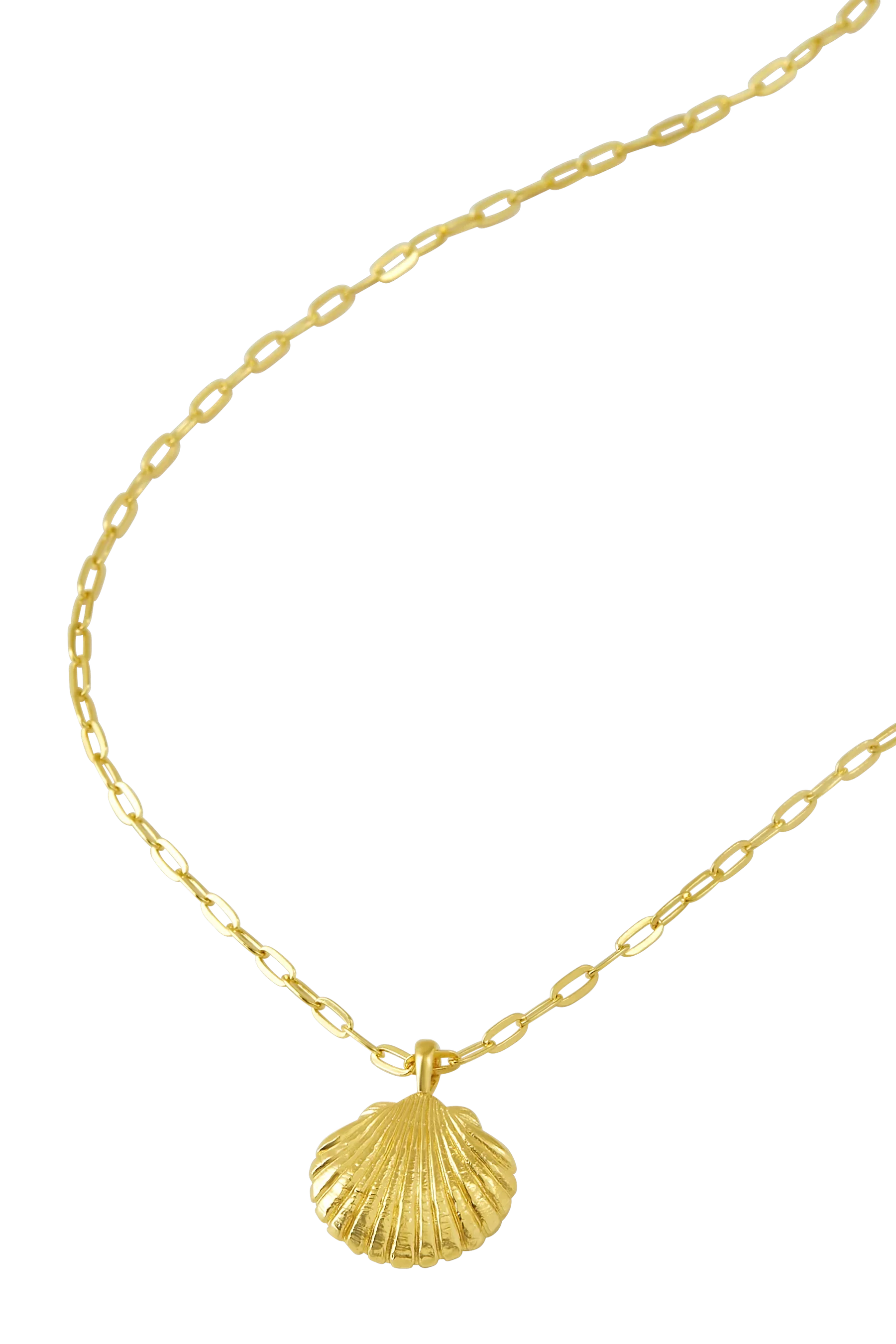 Sandshell Necklace Gold