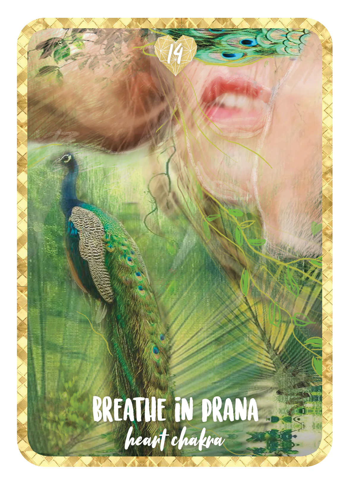 Self Love Oracle Cards - Image 5