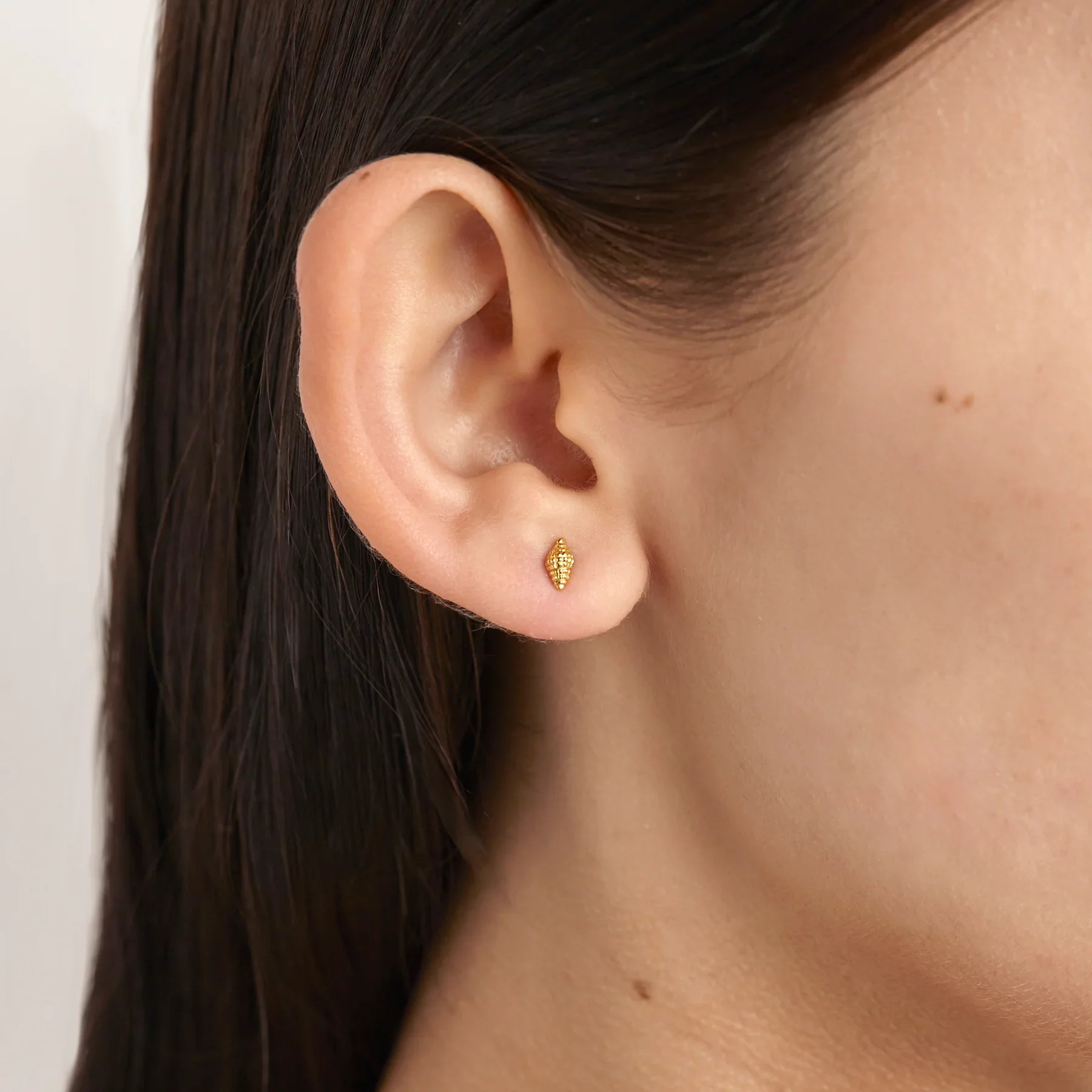 Spiral Shell Gold Studs - Image 2